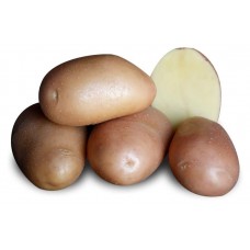 Картофель семенной «СеДеК» Ажур, 2 кг