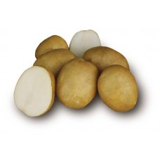 Картофель семенной «СеДеК» Лидер, 2 кг