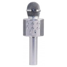 Микрофон Magic acoustic серебряный