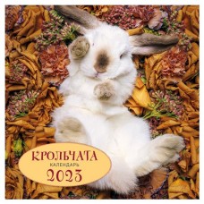 Календарь настенный 2023 «Эксмо» Крольчата, 300х300 мм