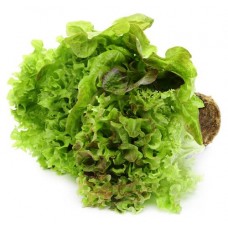 Салат Трио красно-зеленый листовой в горшочке, 150 г
